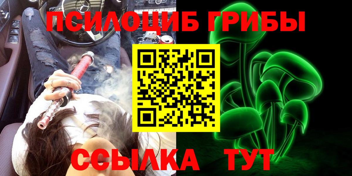 Туапсе  Псилоцибиновые грибы прущие грибы  Вход с VPN 
