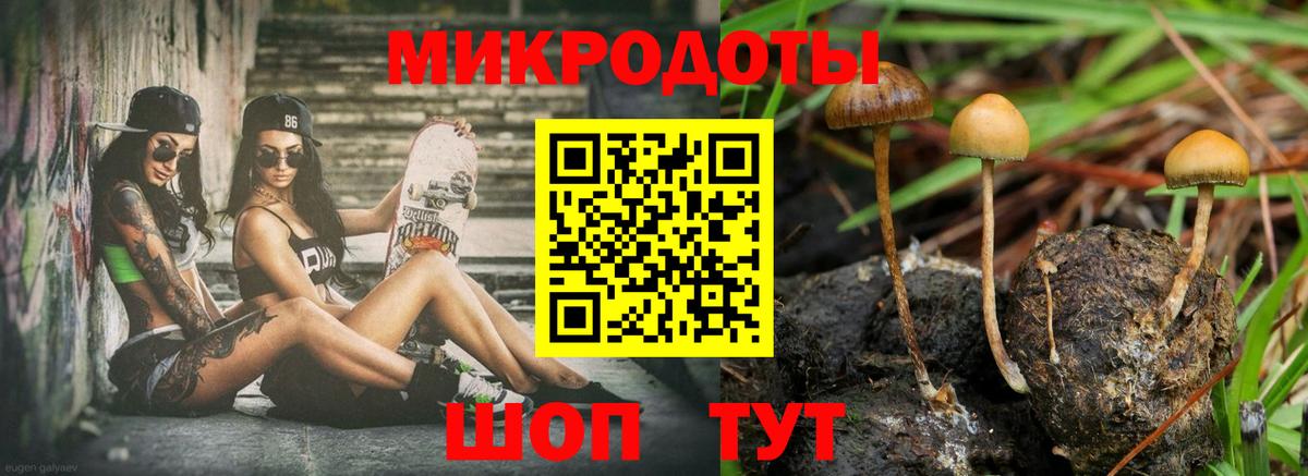 Галлюциногенные грибы GOLDEN TEACHER Туапсе